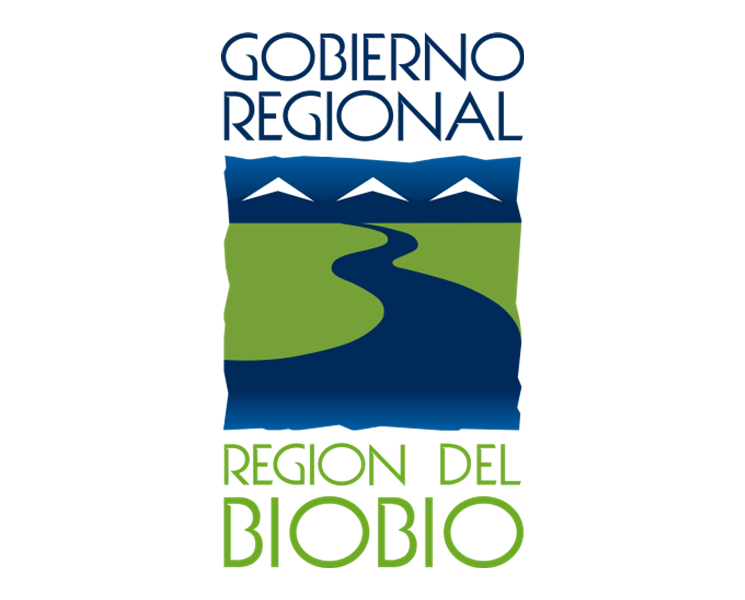 Gobierno Regional del Biobío